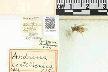 Media type: image;   Entomology 769286 Aspect: Labels